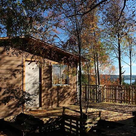 Cabanas Mas Ke Miel Población Población Lago Ranco Exteriér fotografie